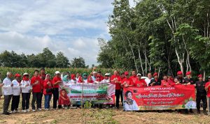 Alpukat Siger Ratupuan, PDI Perjuangan Lampung Tanam Harapan di Hari Lahir Megawati