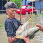 Bahagia Meski Pilu, Warga Tanjung Senang Tangkap Ikan di Tengah Banjir