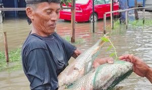 Bahagia Meski Pilu, Warga Tanjung Senang Tangkap Ikan di Tengah Banjir