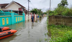Bunda Terimakasih Nasi Bungkusnya, Tahun Depan Banjir Lagi?
