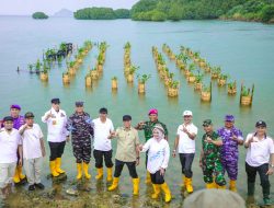 Tanam 2.000 Mangrove, Gubernur Mirza Dorong Rehabilitasi Pesisir Lampung