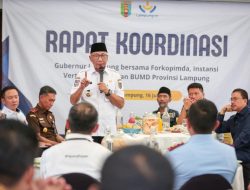 Gubernur Mirza: Presiden Siap Bangun Pembatas Permanen Atasi Konflik Gajah di TNWK
