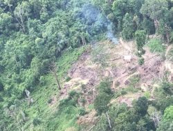 Anggaran Hutan Diduga Disimpangkan, Mahasiswa Desak Gubernur Bertindak Cepat
