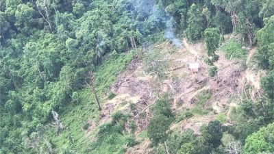 Anggaran Hutan Diduga Disimpangkan, Mahasiswa Desak Gubernur Bertindak Cepat