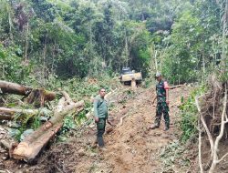 Dugaan Illegal Logging di Pesisir Barat, TNI Bertindak