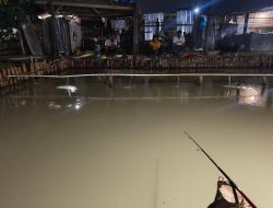 Demokrasi di Ujung Joran