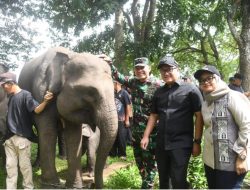 Ketua DPRD Lampung Dukung Way Kambas Jadi Model Nasional