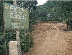 Hutan Lindung Register 45B Bukit Rigis Dijarah Alat Berat Tanpa Izin