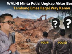 Tambang Emas Ilegal 1,5 Tahun di Way Kanan, Walhi Minta Polisi Bongkar Aktor Besar