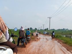 Akses Ekonomi Lumpuh di Kotabaru Timur, Jalan 2 Km Ini Tak Tersentuh Perbaikan