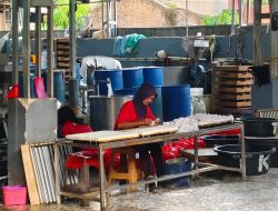 Harga Plastik Naik, Pabrik Tahu di Bandar Lampung Mulai Hitung Ulang Biaya Produksi