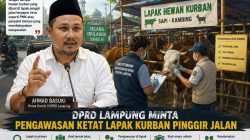 Lapak Kurban Disorot: DPRD Lampung Desak Pengawasan Ketat di Pinggir Jalan