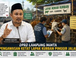 Lapak Kurban Disorot: DPRD Lampung Desak Pengawasan Ketat di Pinggir Jalan
