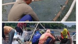 BUMDes Jagang Kembangkan Budidaya Ikan Mas, Terjepit Kenaikan Harga Pakan