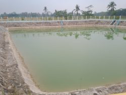 BPK Temukan Masalah di Proyek BPBD Provinsi Lampung: Rp1,17 Miliar Denda Belum Dipungut